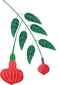 Rose - Recommended PNG - Designer Recommended PNG