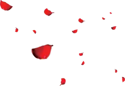 Red Petals - petal - Free PNG