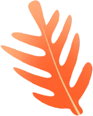 Orange Leaf - leaf - Transparent Layer PNG