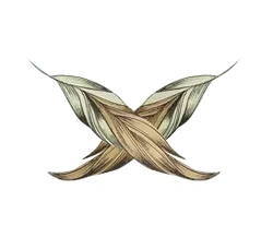 Feather Logo - art - Transparent Background PNG