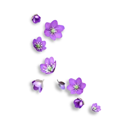 Alfalfa - purple - nature - Transparent Background PNG