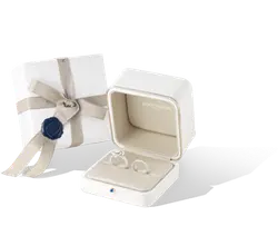 Jewelry Box - presentation - Free PNG