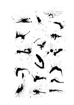 bird - Black Owl - Recommended PNG - Pic 6