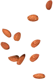 Almond - snack - Popular Download PNG