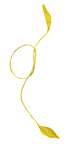 Yellow Vine - nature - Free Download PNG