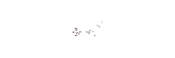 Red Bear - animal - High Resolution PNG
