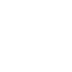 Tomato - leaves - High Resolution PNG