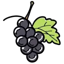 Grape - Recommended PNG