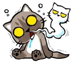 Crying Kitten - Fast Download PNG