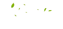 Leaves Falling - nature - Lossless PNG