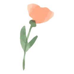 Pink Flower - plant - illustration - High Resolution PNG