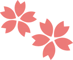 Cherry Blossom - High Quality PNG - nature