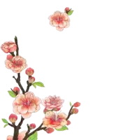 Peach Blossom - Free for Commercial Use PNG - Free Download PNG