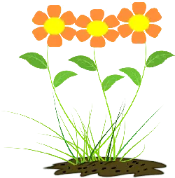 Three Flowers - orange - Lossless PNG