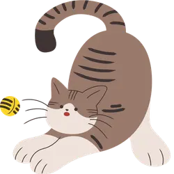 Cat Playing with Ball - play - High Resolution PNG