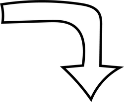 bird - Black Owl - Fast Download PNG - Pic 1