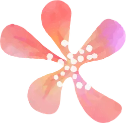 Colorful Petal Pattern - visual impact - High Resolution PNG