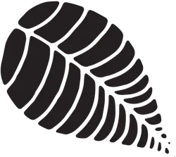 Leaf - leaf - PNG