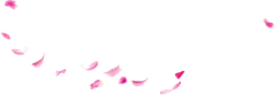 Pink Petals Falling - nature - Popular Download PNG