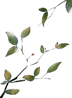 Leaves and Branches - nature - Free PNG
