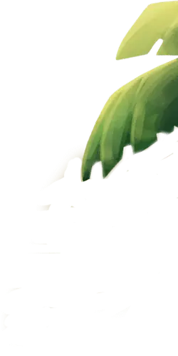 Banana Leaf - leaf - nature - Transparent Layer PNG