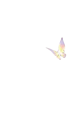 Butterfly - beautiful - High Quality PNG