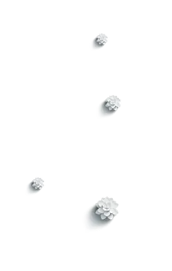 White Flowers - simple - black and white - Lossless PNG