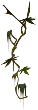 Vine Plant - growth - Curated PNG