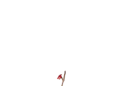 Red Butterfly - PNG
