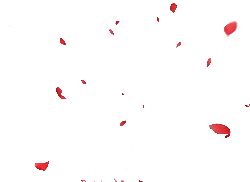 Red Petals - falling - Highly Rated PNG
