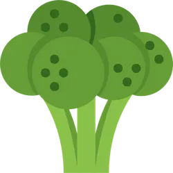 Broccoli - Designer's Pick PNG - vegetable