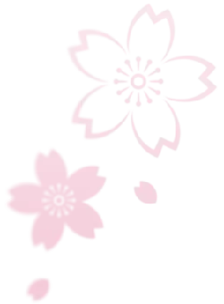 Cherry Blossom - No Background PNG - nature - Pic 2