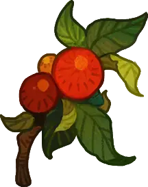 Apple Tree - leaves - No Watermark PNG