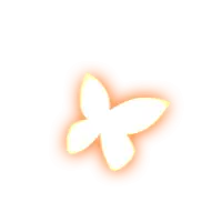 Butterfly - symmetrical - flying - No Background PNG