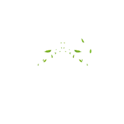 Abstract Pattern - green - symmetrical - Free PNG