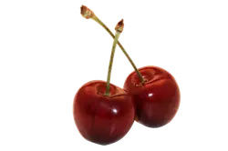 Cherry - fresh - Trending PNG