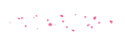 Pink Petals - romantic - petal - Free PNG
