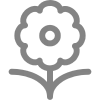 Flower - life - No Background PNG