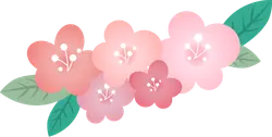 Pink Flowers - nature - leaf - No Background PNG