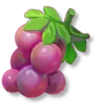 Grapes - sweet - cartoon - Transparent Background PNG