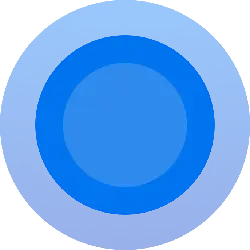 Concentric Circles Pattern - PNG