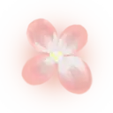 Four-petal Flower - simple - Transparent Background PNG