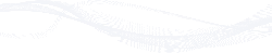 Abstract Line Pattern - flowing sensation - PNG
