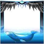 Dolphin - performance - Free PNG