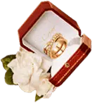 Gold Ring - No Background PNG