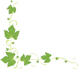 Vine Pattern - Designer Recommended PNG