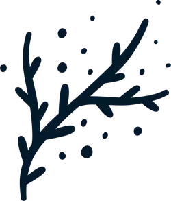 Branch - nature - Transparent Layer PNG