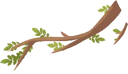 Branch - leaves - plant - Transparent Layer PNG