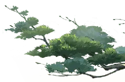 Green Plant - growth - Free Download PNG