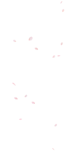 Pink Petals Falling - Free Download PNG - background